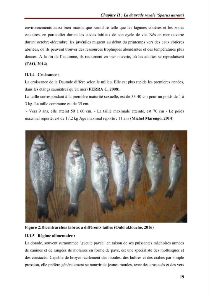 Estimation de la contamination par certains métaux lourds au niveau de la chair d\'un poisson d\'élevage