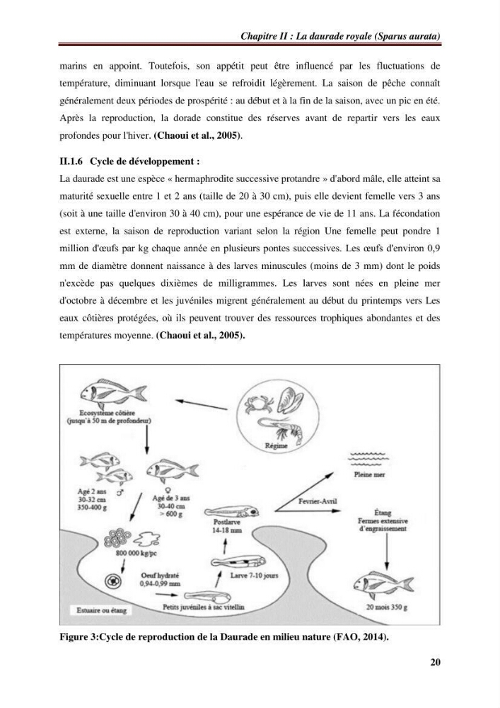 Estimation de la contamination par certains métaux lourds au niveau de la chair d\'un poisson d\'élevage