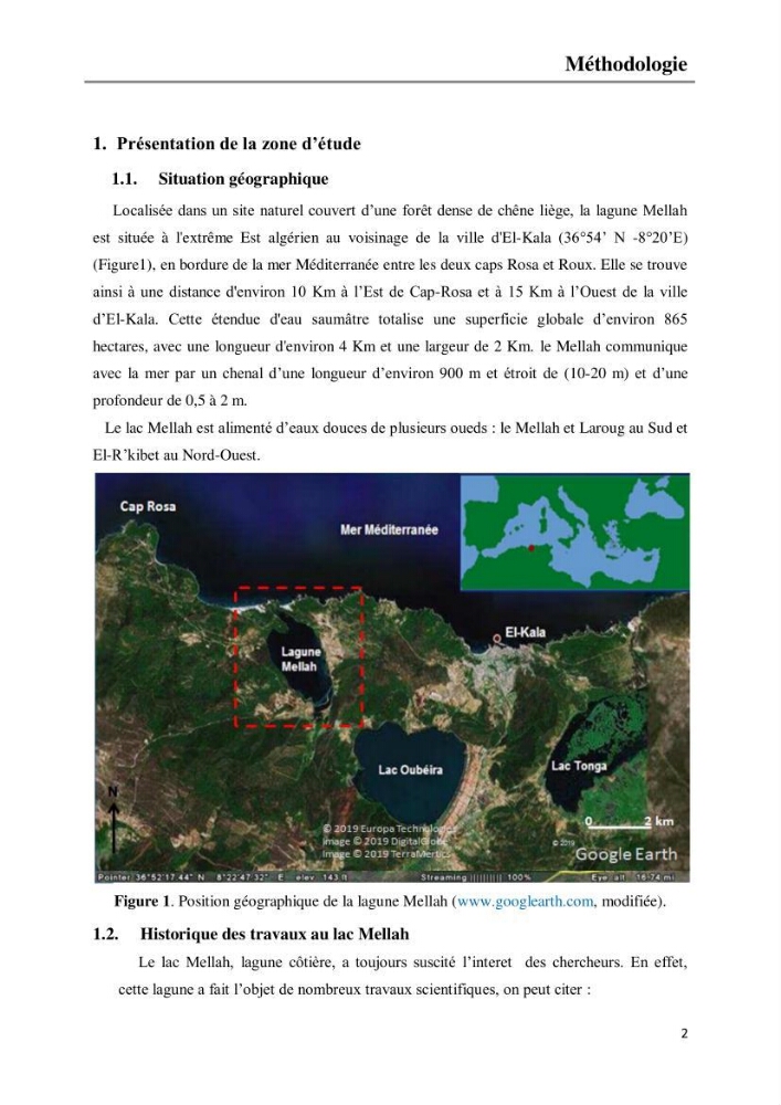 Etude de la structure du peuplement benthique de la lagune Mellah (El-Kala, Algérie) prélèvements: mai 2017 et mai 2018