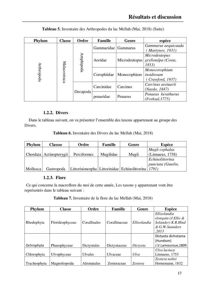 Etude de la structure du peuplement benthique de la lagune Mellah (El-Kala, Algérie) prélèvements: mai 2017 et mai 2018