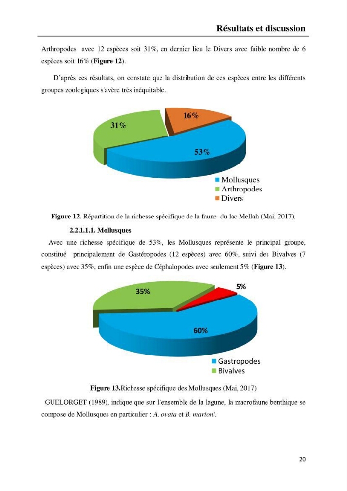 Etude de la structure du peuplement benthique de la lagune Mellah (El-Kala, Algérie) prélèvements: mai 2017 et mai 2018