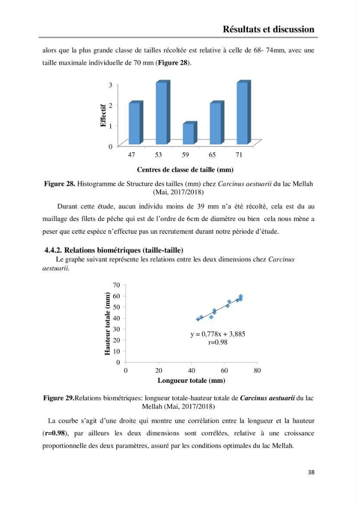 Etude de la structure du peuplement benthique de la lagune Mellah (El-Kala, Algérie) prélèvements: mai 2017 et mai 2018