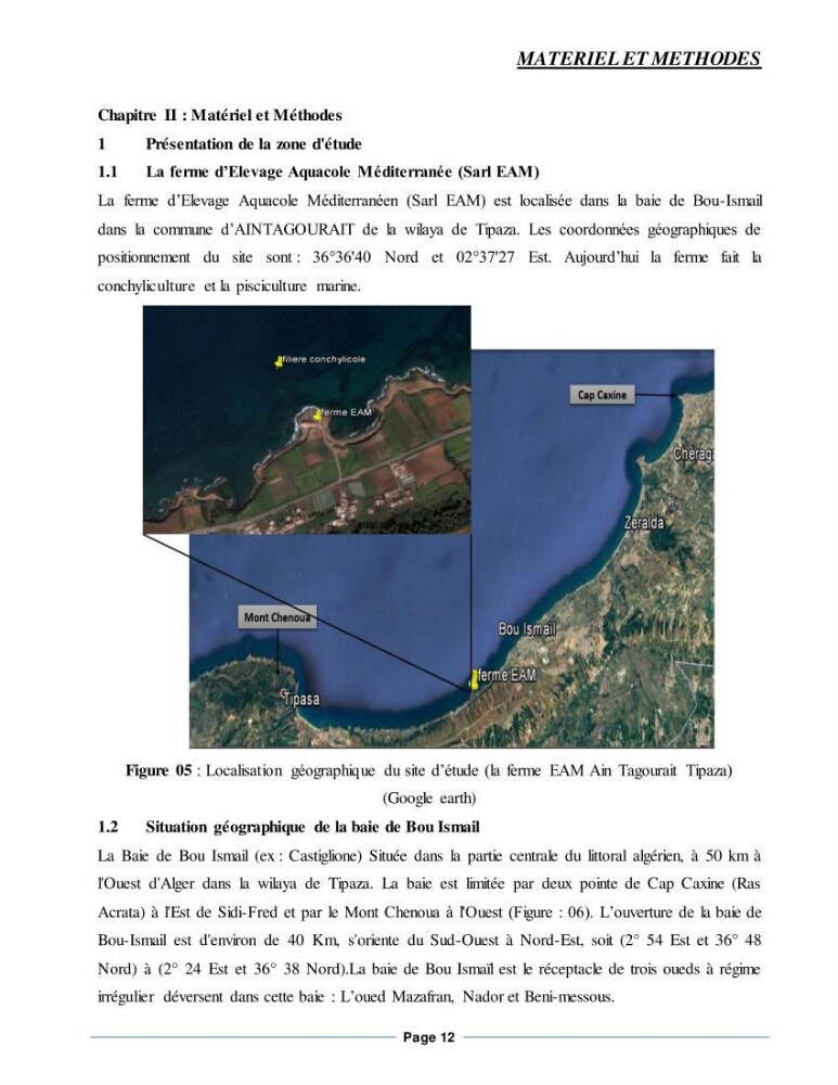 Etude de la croissance de l\'Huitre creuse Crassostrea Gigas (Thunberg, 1793) Ain Tagourait Tipaza: