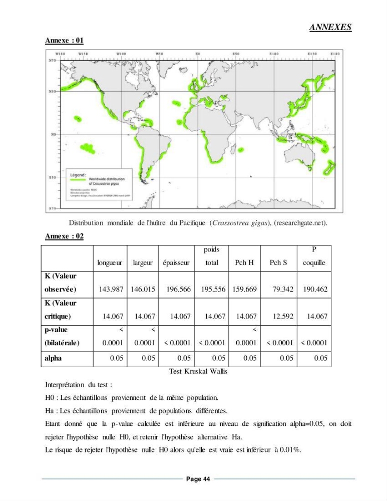 Etude de la croissance de l\'Huitre creuse Crassostrea Gigas (Thunberg, 1793) Ain Tagourait Tipaza: