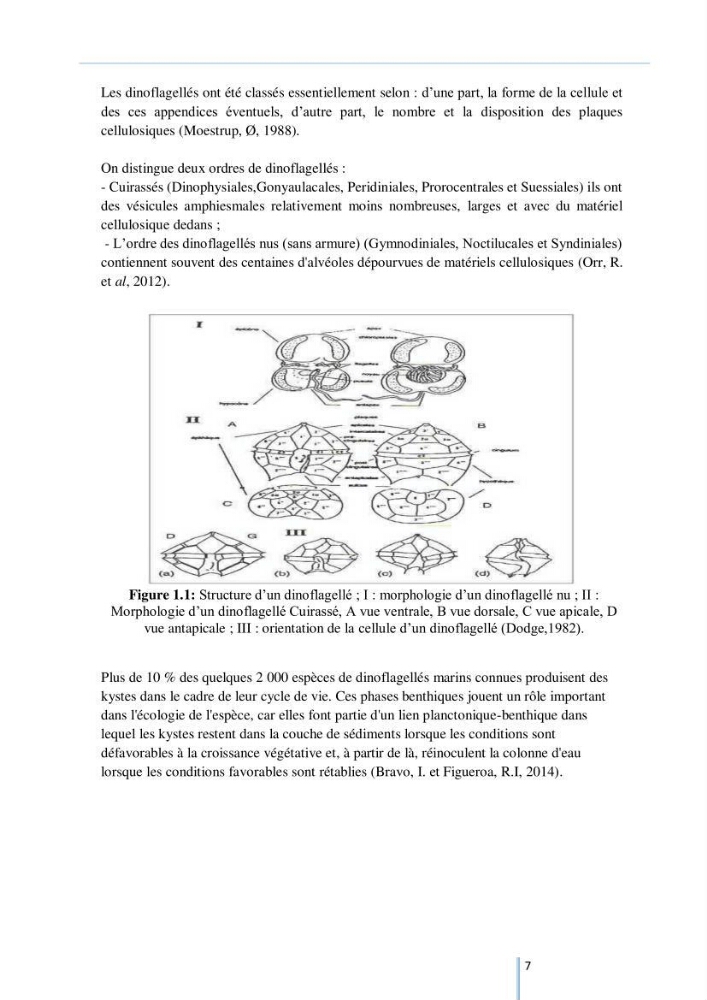 Diagnostic sur la contamination des mollusques par le phytoplancton toxique ou/et nuisible d’une ferme conchylicole « CULTMARE »