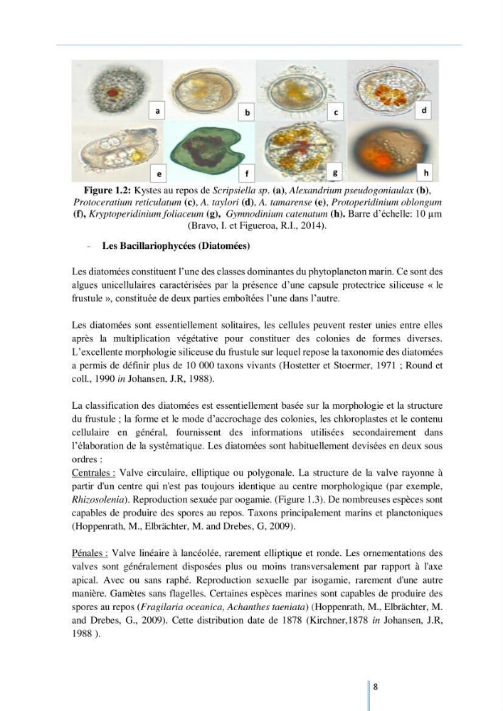 Diagnostic sur la contamination des mollusques par le phytoplancton toxique ou/et nuisible d’une ferme conchylicole « CULTMARE »
