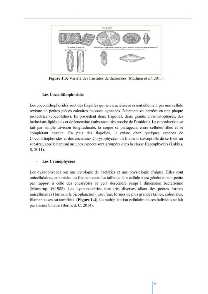 Diagnostic sur la contamination des mollusques par le phytoplancton toxique ou/et nuisible d’une ferme conchylicole « CULTMARE »