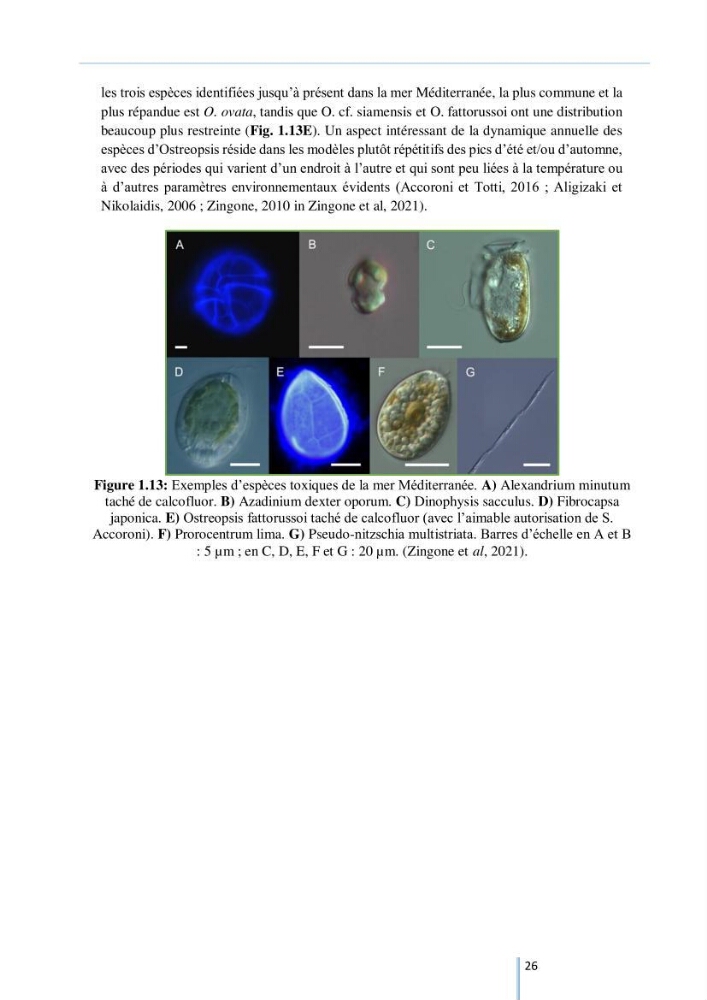 Diagnostic sur la contamination des mollusques par le phytoplancton toxique ou/et nuisible d’une ferme conchylicole « CULTMARE »