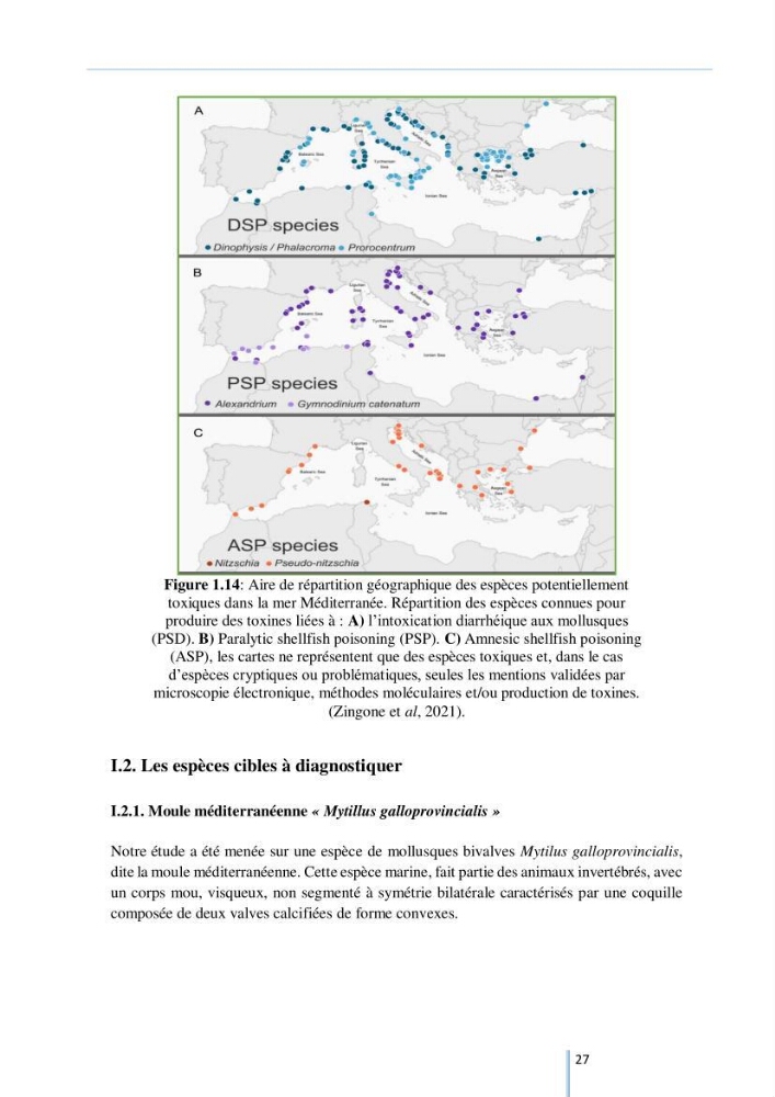 Diagnostic sur la contamination des mollusques par le phytoplancton toxique ou/et nuisible d’une ferme conchylicole « CULTMARE »