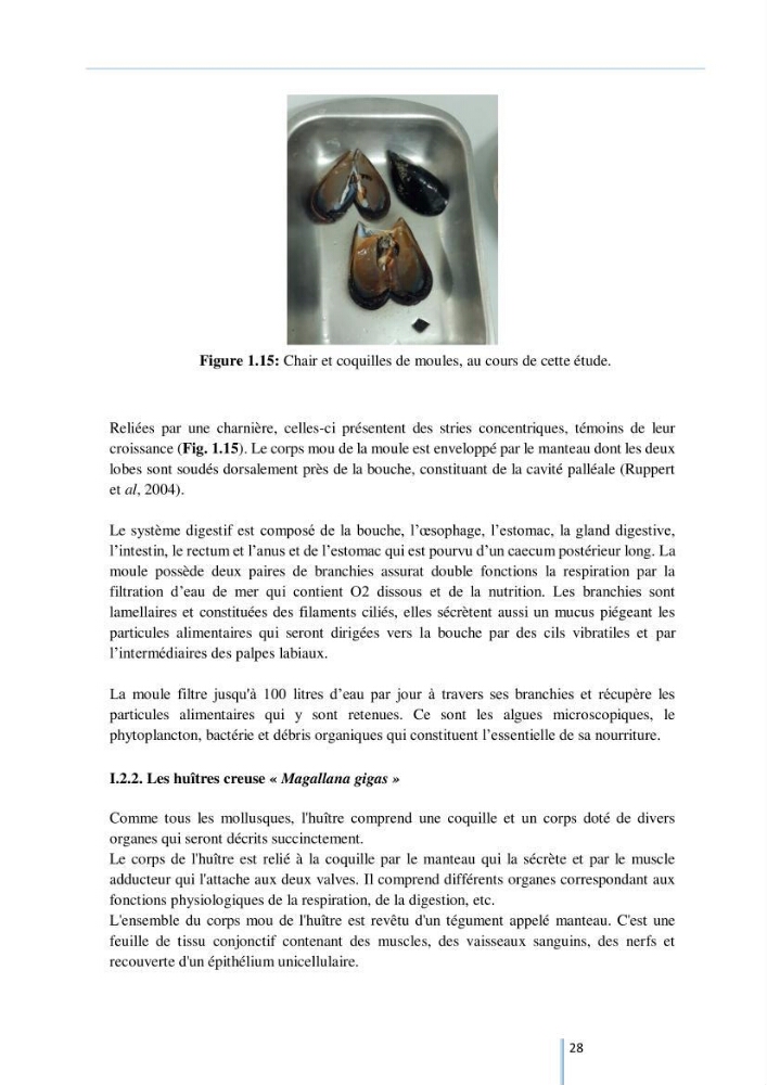 Diagnostic sur la contamination des mollusques par le phytoplancton toxique ou/et nuisible d’une ferme conchylicole « CULTMARE »