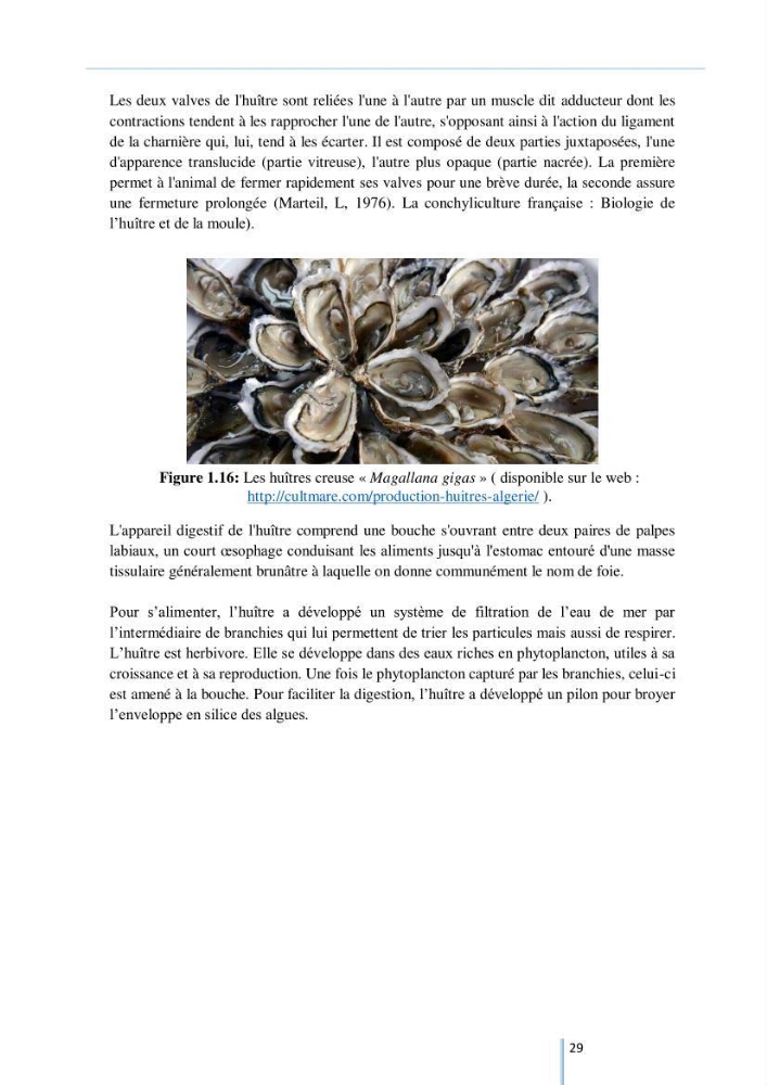Diagnostic sur la contamination des mollusques par le phytoplancton toxique ou/et nuisible d’une ferme conchylicole « CULTMARE »