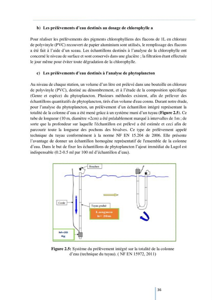 Diagnostic sur la contamination des mollusques par le phytoplancton toxique ou/et nuisible d’une ferme conchylicole « CULTMARE »