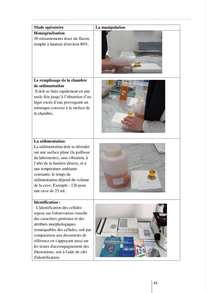 Diagnostic sur la contamination des mollusques par le phytoplancton toxique ou/et nuisible d’une ferme conchylicole « CULTMARE »
