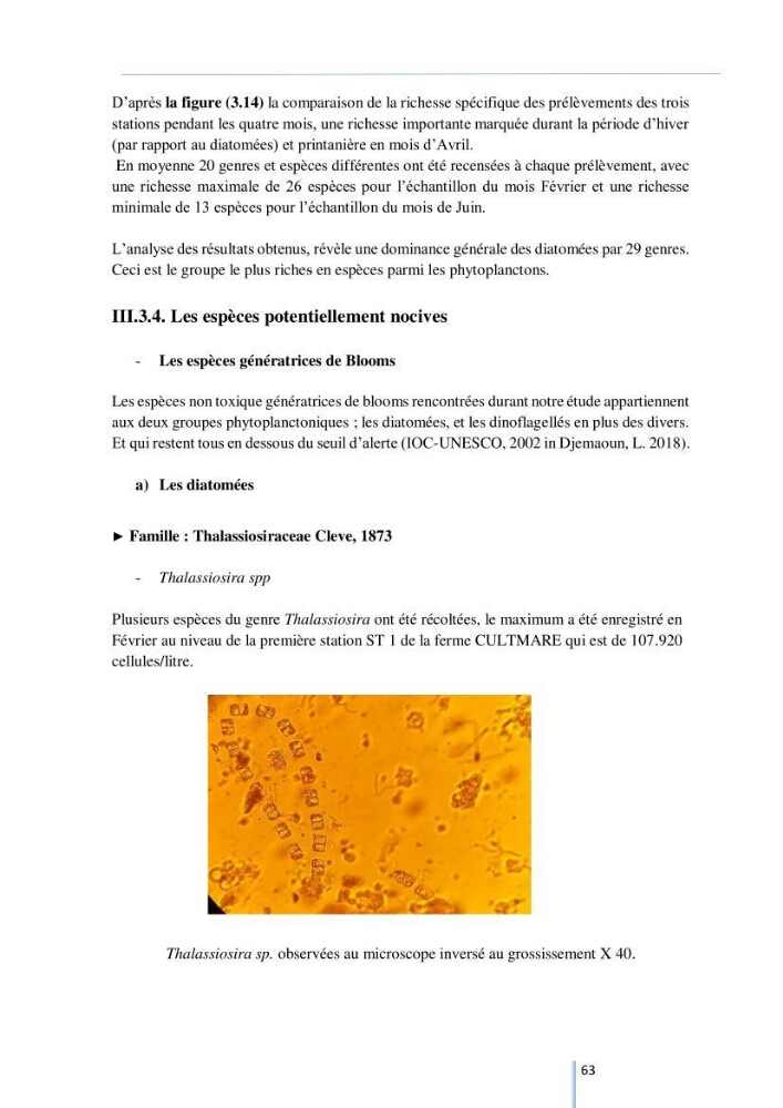 Diagnostic sur la contamination des mollusques par le phytoplancton toxique ou/et nuisible d’une ferme conchylicole « CULTMARE »