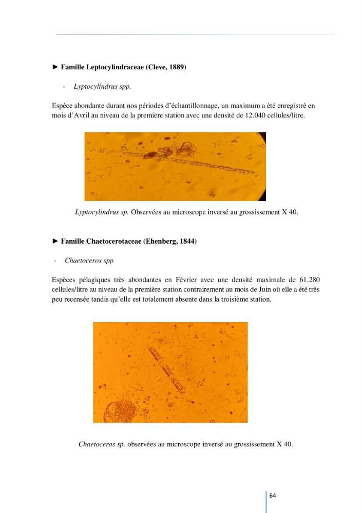 Diagnostic sur la contamination des mollusques par le phytoplancton toxique ou/et nuisible d’une ferme conchylicole « CULTMARE »