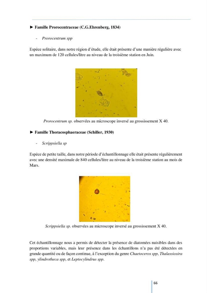 Diagnostic sur la contamination des mollusques par le phytoplancton toxique ou/et nuisible d’une ferme conchylicole « CULTMARE »