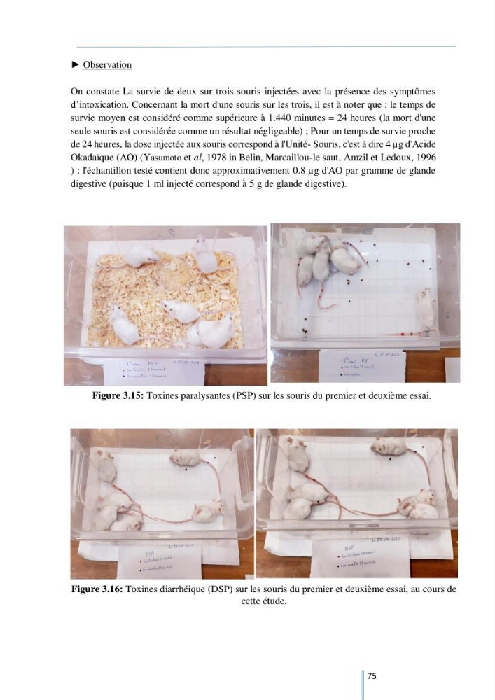 Diagnostic sur la contamination des mollusques par le phytoplancton toxique ou/et nuisible d’une ferme conchylicole « CULTMARE »