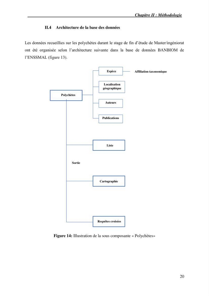 Inventaire de référence des polychètes de la côte algérienne composante de la base des données BANBIOM