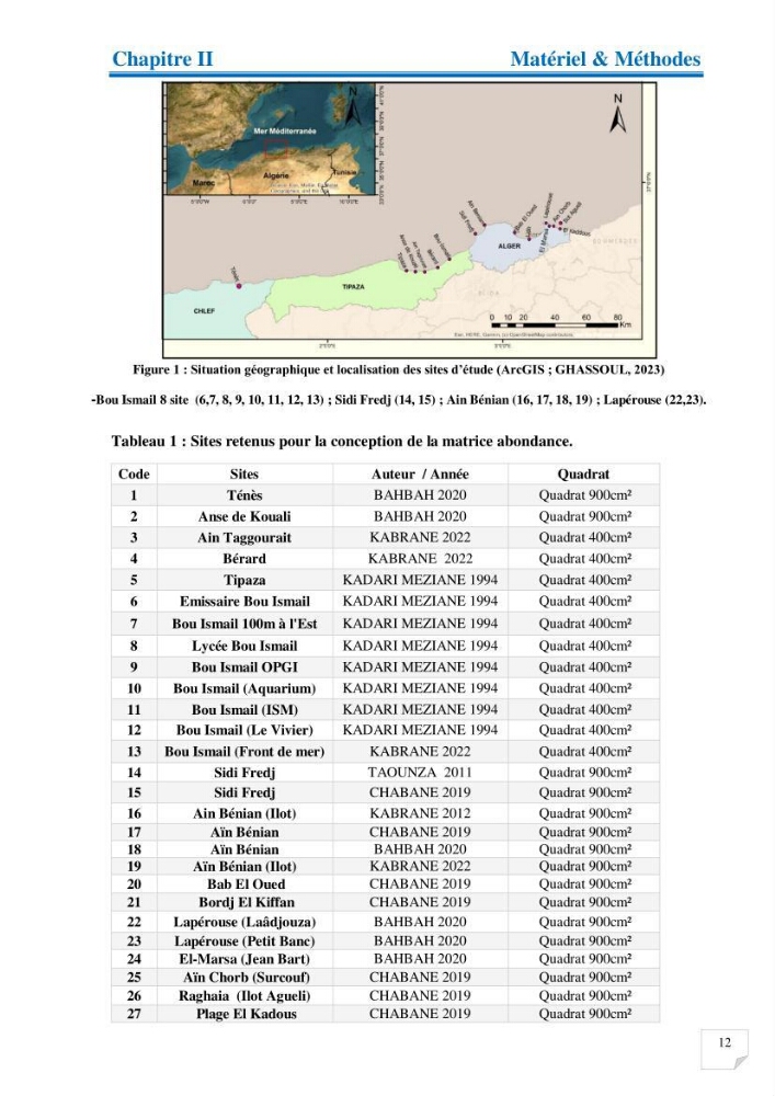 Contribution à l’étude de la diversité de la flore macroalgale infralittorale de la côte algéroise évaluation de la qualité écologique