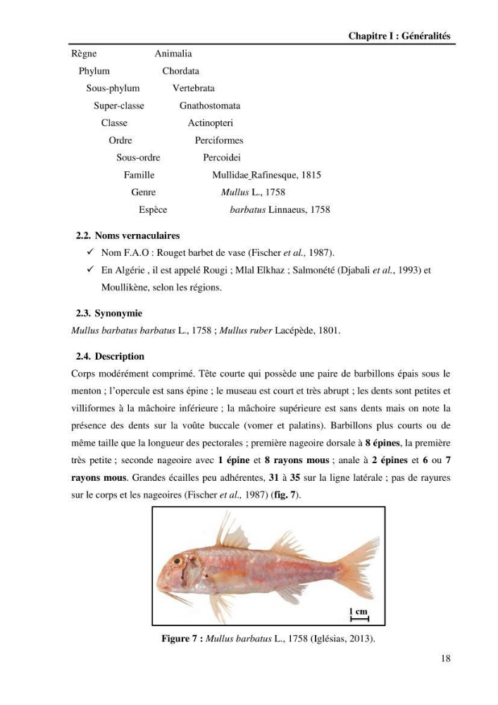 Contribution à l\'étude de la croissance et de l\'exploitation du Gobie noir Gobius niger L., 1758 ( Perciformes, Gobidae) du golg de Annaba:
