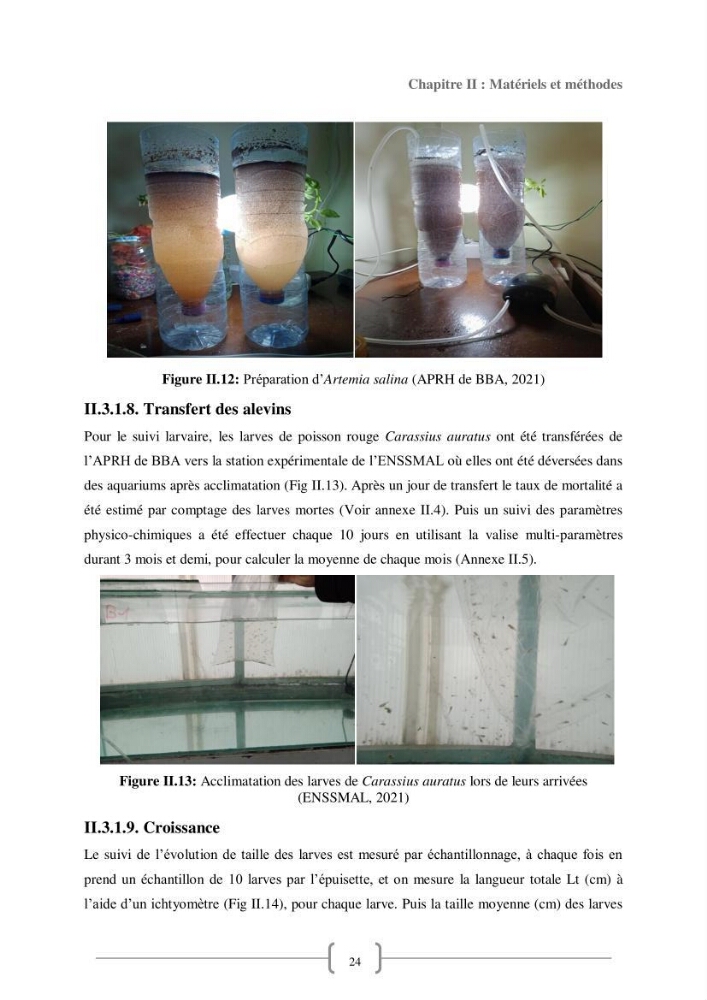 Contribution à la reproduction de quelques espèces de poissons d’ornements d’eau douce :