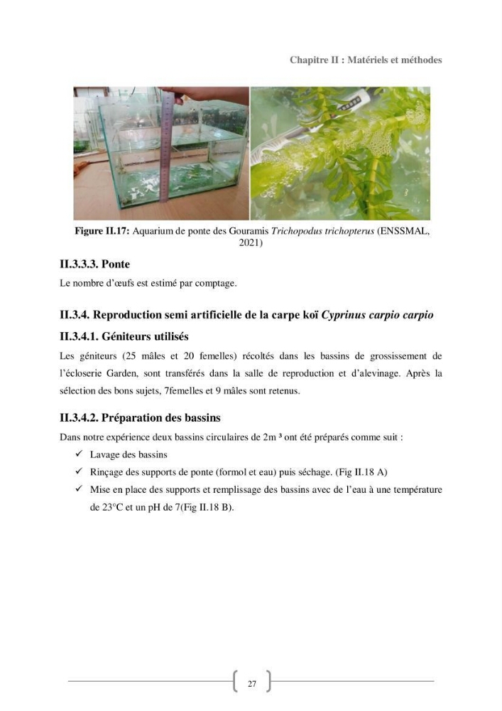 Contribution à la reproduction de quelques espèces de poissons d’ornements d’eau douce :