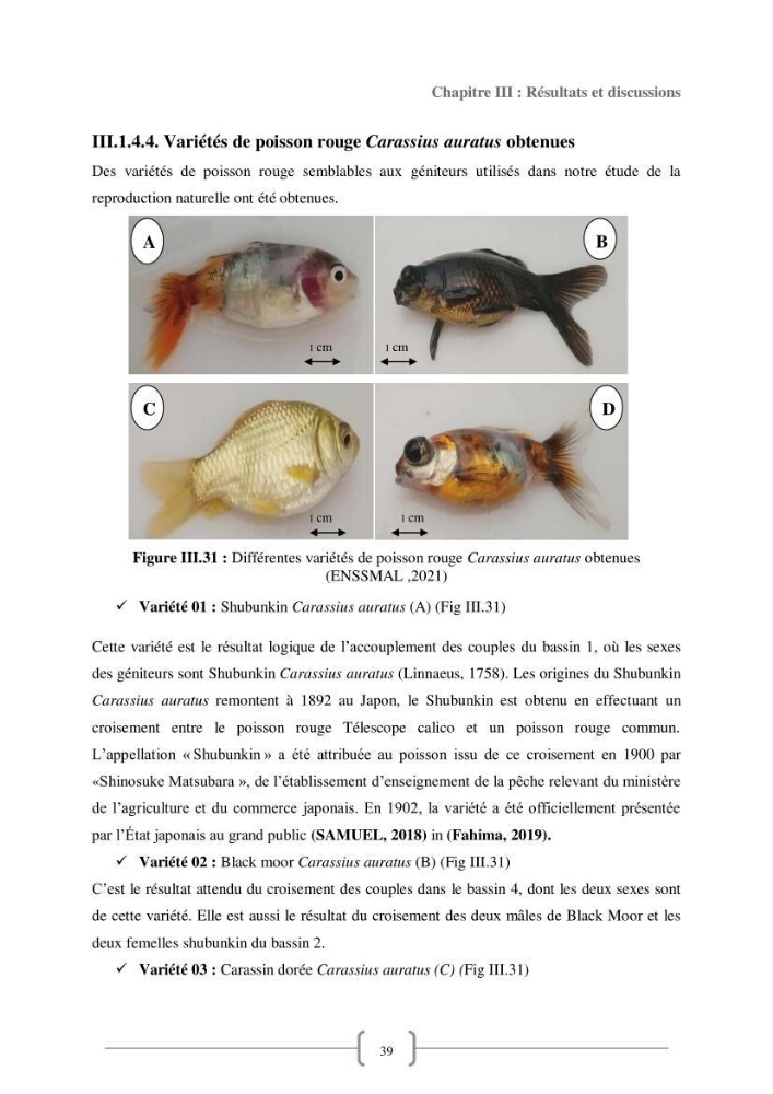 Contribution à la reproduction de quelques espèces de poissons d’ornements d’eau douce :
