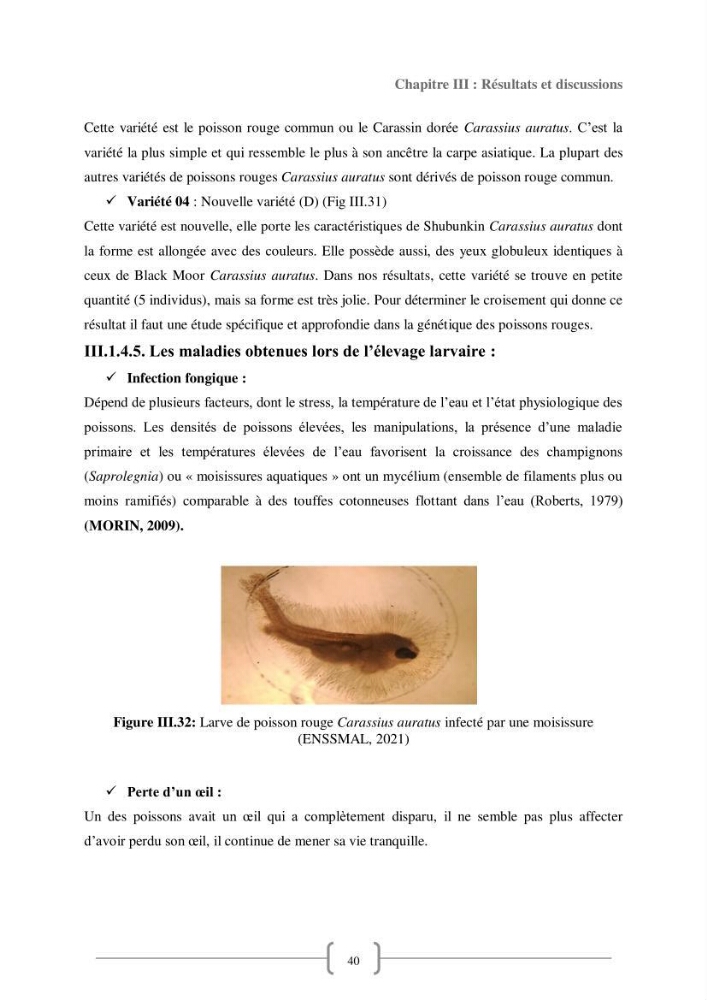 Contribution à la reproduction de quelques espèces de poissons d’ornements d’eau douce :