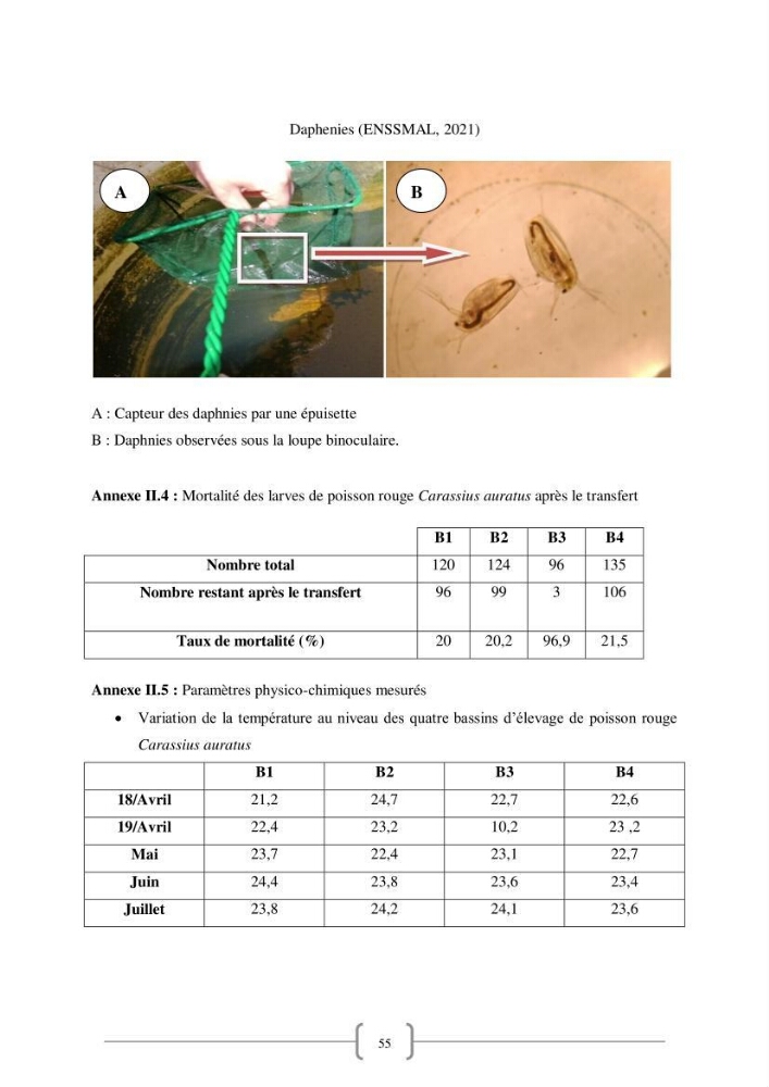 Contribution à la reproduction de quelques espèces de poissons d’ornements d’eau douce :
