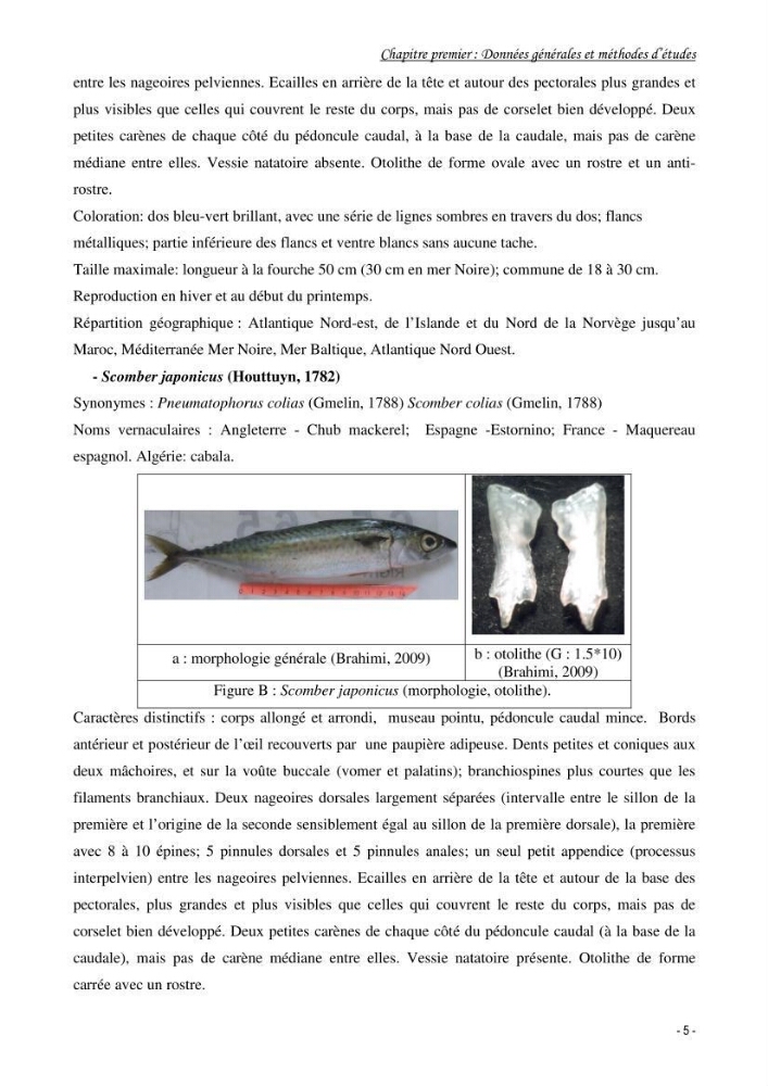 Contribution à l\'étude de l\'écologie et de la biologie du genre scomber: