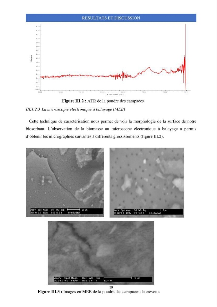 Elimination d’élément radioactif Cs* et d’élément trace métallique Pb en solution aqueuse par adsorption sur les carapaces de crevettes: