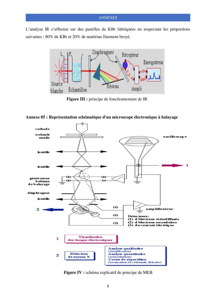 Elimination d’élément radioactif Cs* et d’élément trace métallique Pb en solution aqueuse par adsorption sur les carapaces de crevettes: