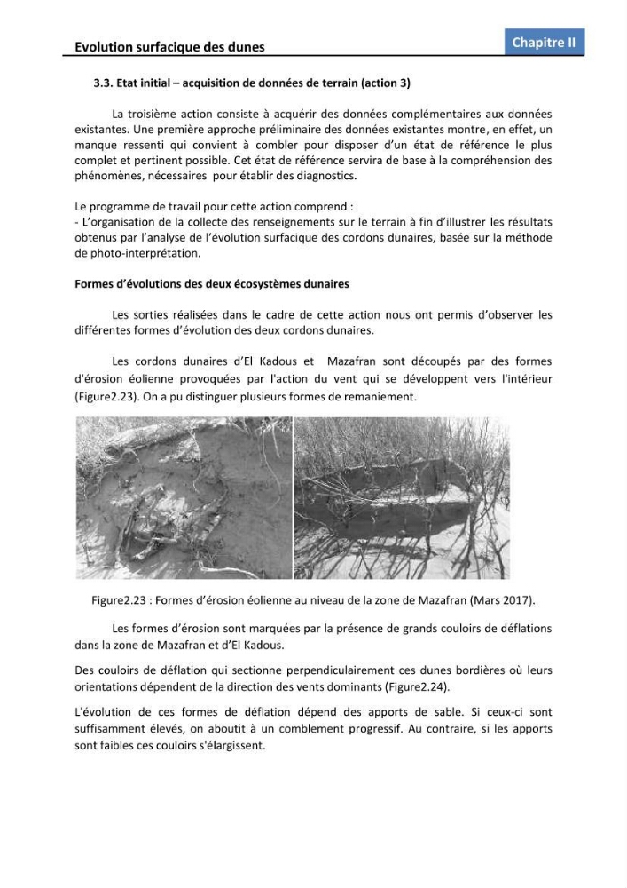 Etude des écosystèmes dunaires algérois