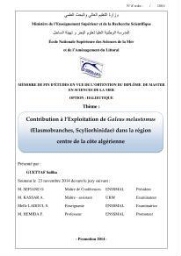 Contribution à l'exploitation de galeus melastomus ( Elasmobranches, Scyliorhinidae) dans la région centre de la côte Algérienne: