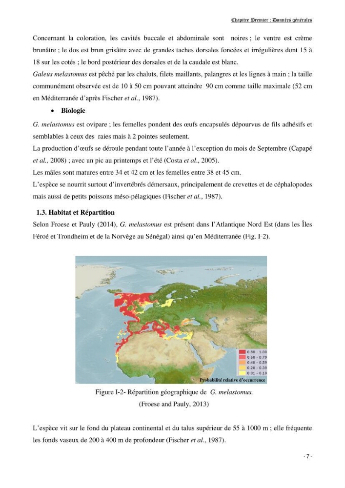 Contribution à l\'exploitation de galeus melastomus ( Elasmobranches, Scyliorhinidae) dans la région centre de la côte Algérienne: