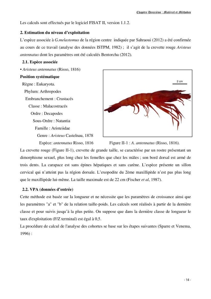 Contribution à l\'exploitation de galeus melastomus ( Elasmobranches, Scyliorhinidae) dans la région centre de la côte Algérienne: