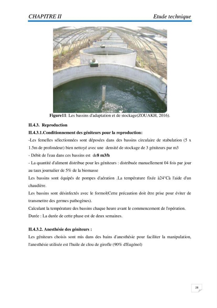 Contribution à la conception d\'une ferme d\'élevage de poisson chat (Clarias gariepinus):