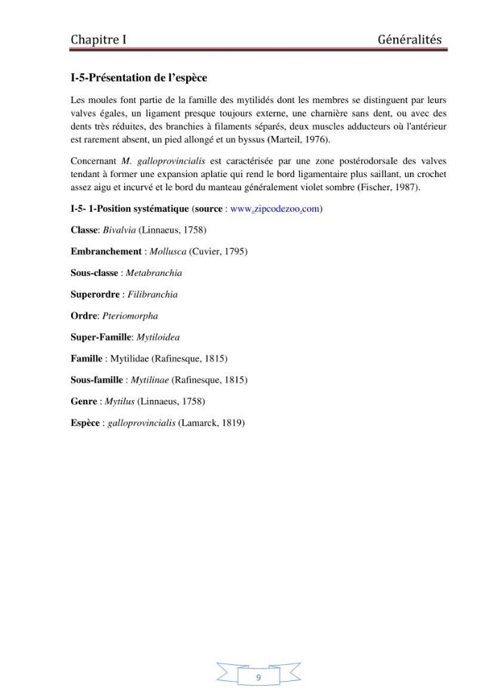 Essai de la reproduction artificielle de la moule mytilus galloprovincialis (lamark,1819)et l\'étude comparative de l\'induction de ponte par choc thermique et choc chimique: