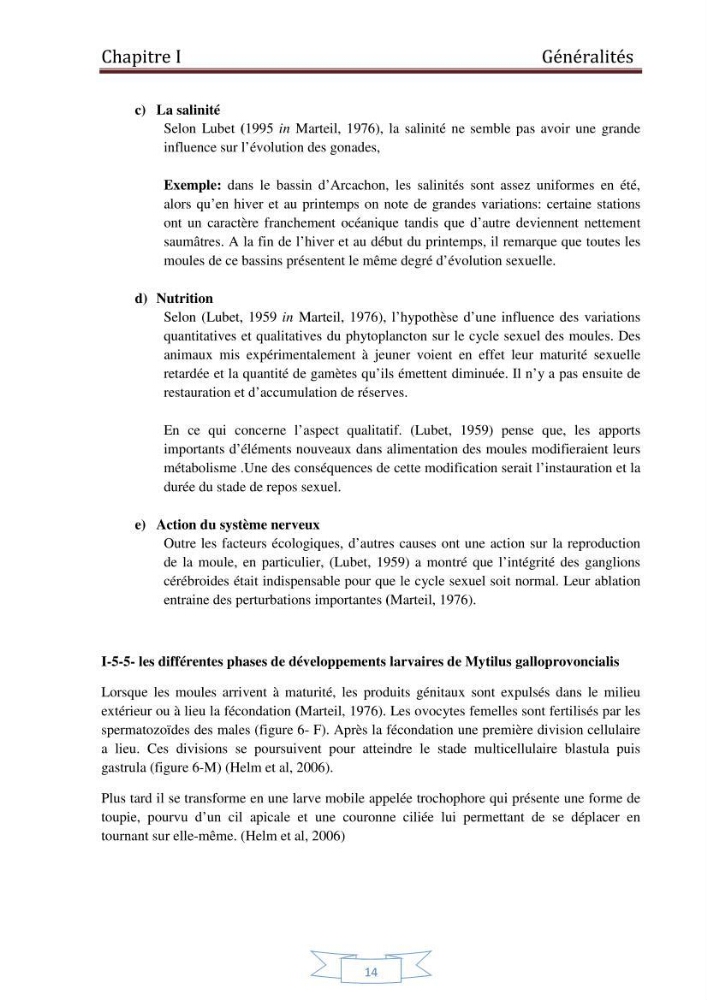 Essai de la reproduction artificielle de la moule mytilus galloprovincialis (lamark,1819)et l\'étude comparative de l\'induction de ponte par choc thermique et choc chimique:
