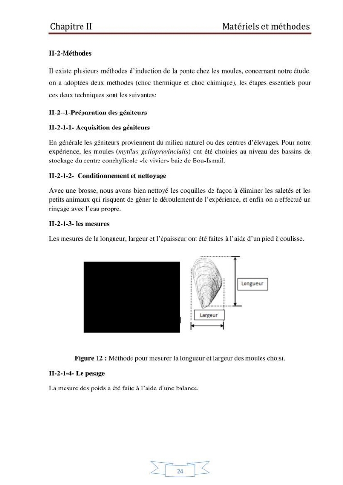 Essai de la reproduction artificielle de la moule mytilus galloprovincialis (lamark,1819)et l\'étude comparative de l\'induction de ponte par choc thermique et choc chimique: