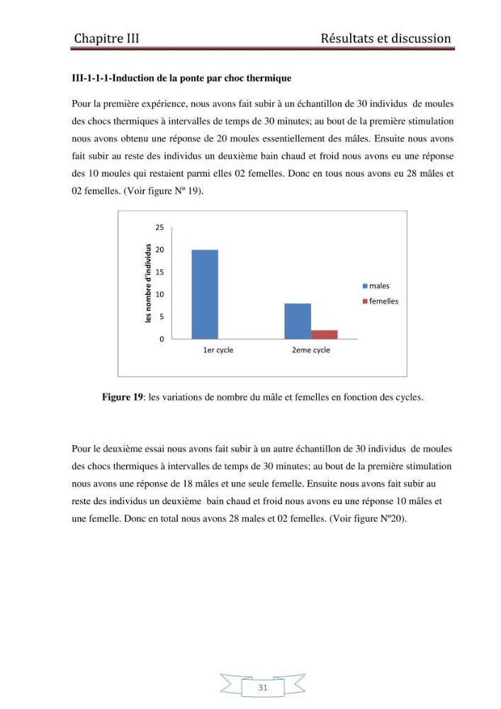 Essai de la reproduction artificielle de la moule mytilus galloprovincialis (lamark,1819)et l\'étude comparative de l\'induction de ponte par choc thermique et choc chimique: