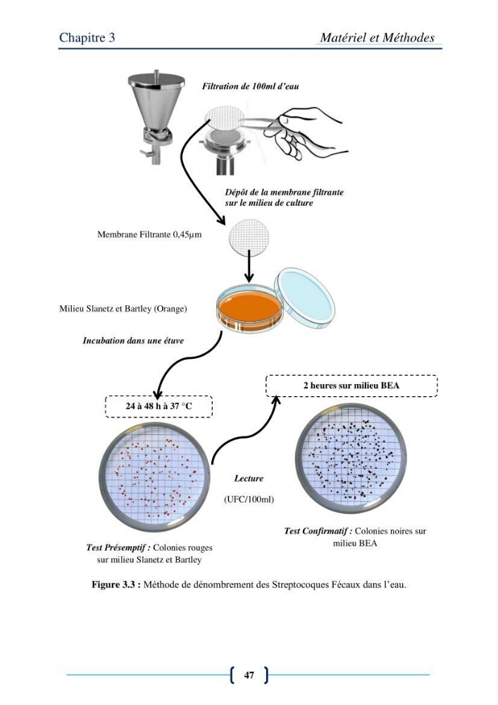 Evaluation des paramètres physico-chimiques et bactériologiques au niveau de la plage El Bahdja avec les apports de l\'Oued Béni-Messous