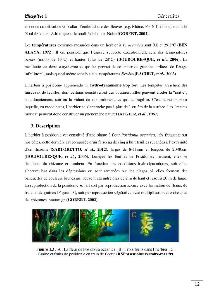 Contribution à l’étude de la pollution chimique et les paramètres vitaux de l’écosystème à Posidonia oceanica dans le front de mer de Bou- Ismail et de la Corne d’or de Tipaza.: