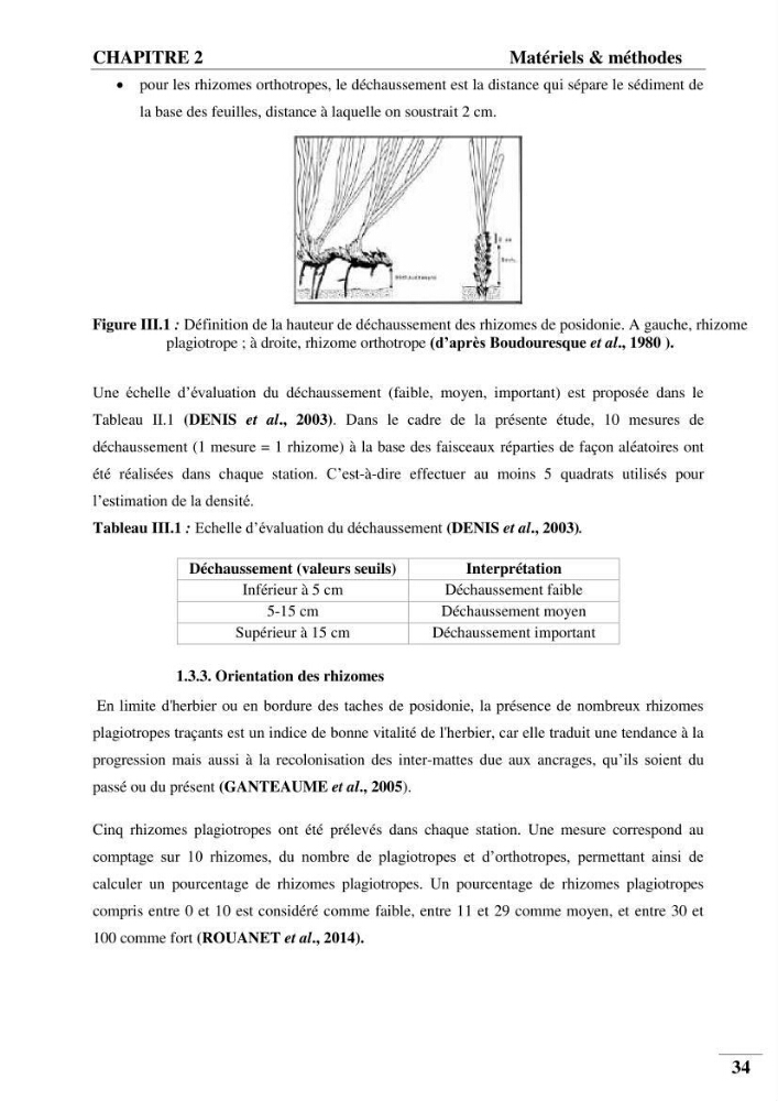Contribution à l’étude de la pollution chimique et les paramètres vitaux de l’écosystème à Posidonia oceanica dans le front de mer de Bou- Ismail et de la Corne d’or de Tipaza.: