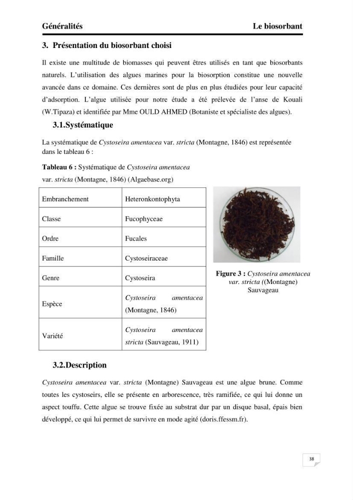 Etude de la biosorption des éléments traces métaliques (Pb2+,Cd2+,et Zn2+) sur une biomasse marine: