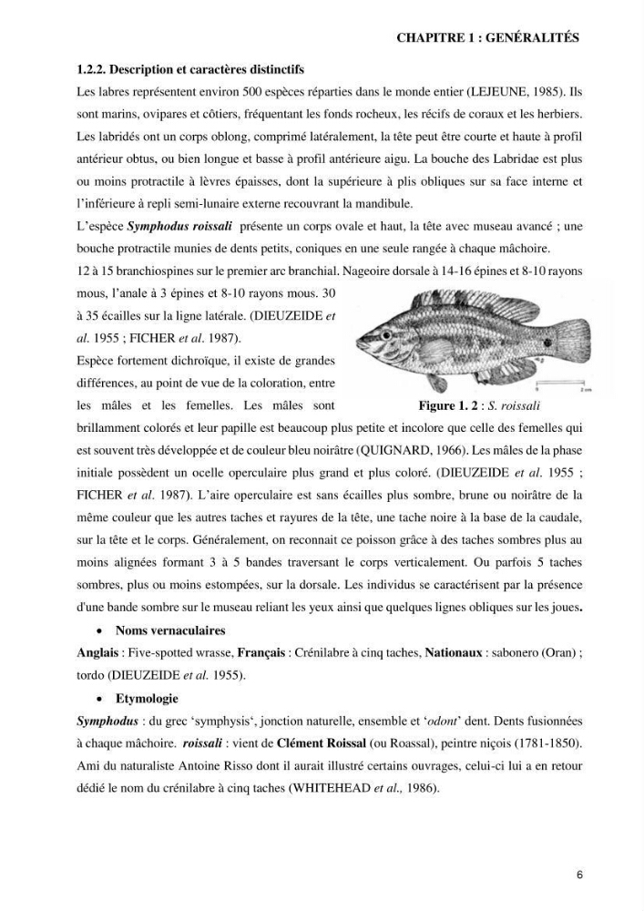 Contribution à l’étude de Symphodus roissali (Risso, 1810) des côtes centres du bassin algérien