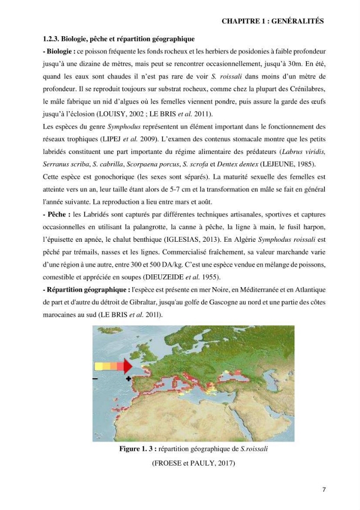 Contribution à l’étude de Symphodus roissali (Risso, 1810) des côtes centres du bassin algérien