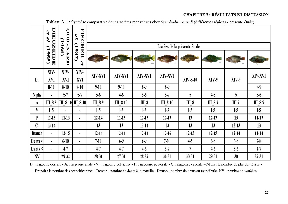Contribution à l’étude de Symphodus roissali (Risso, 1810) des côtes centres du bassin algérien