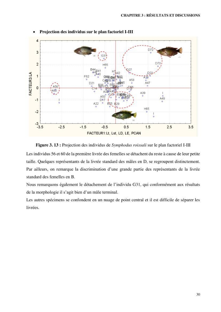Contribution à l’étude de Symphodus roissali (Risso, 1810) des côtes centres du bassin algérien