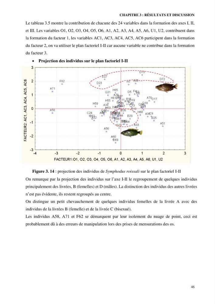 Contribution à l’étude de Symphodus roissali (Risso, 1810) des côtes centres du bassin algérien
